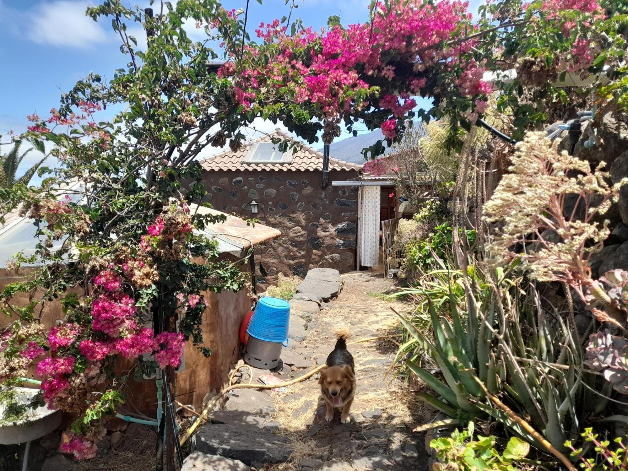 Abracaribes Bed & Breakfast Arecida Eksteriør bilde