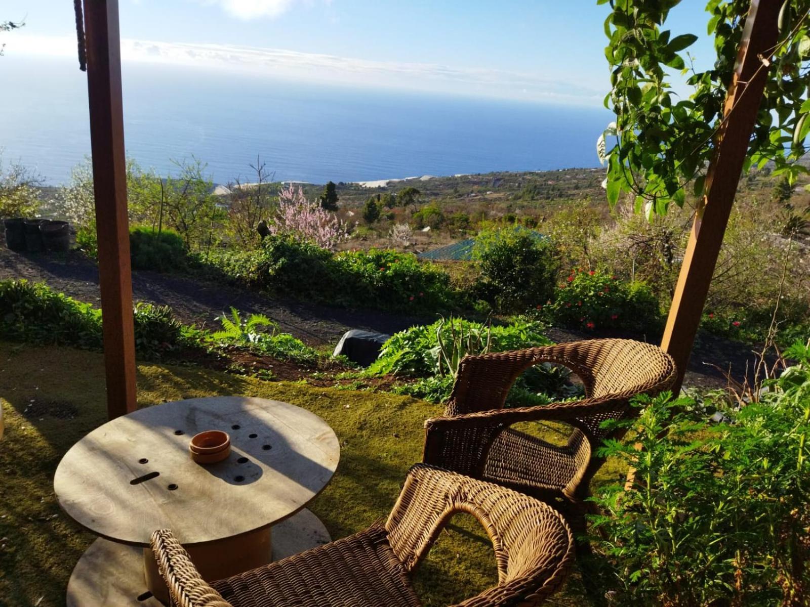 Abracaribes Bed & Breakfast Arecida Rom bilde