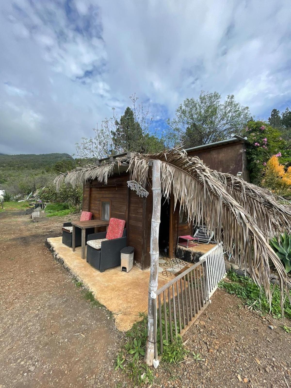 Abracaribes Bed & Breakfast Arecida Eksteriør bilde