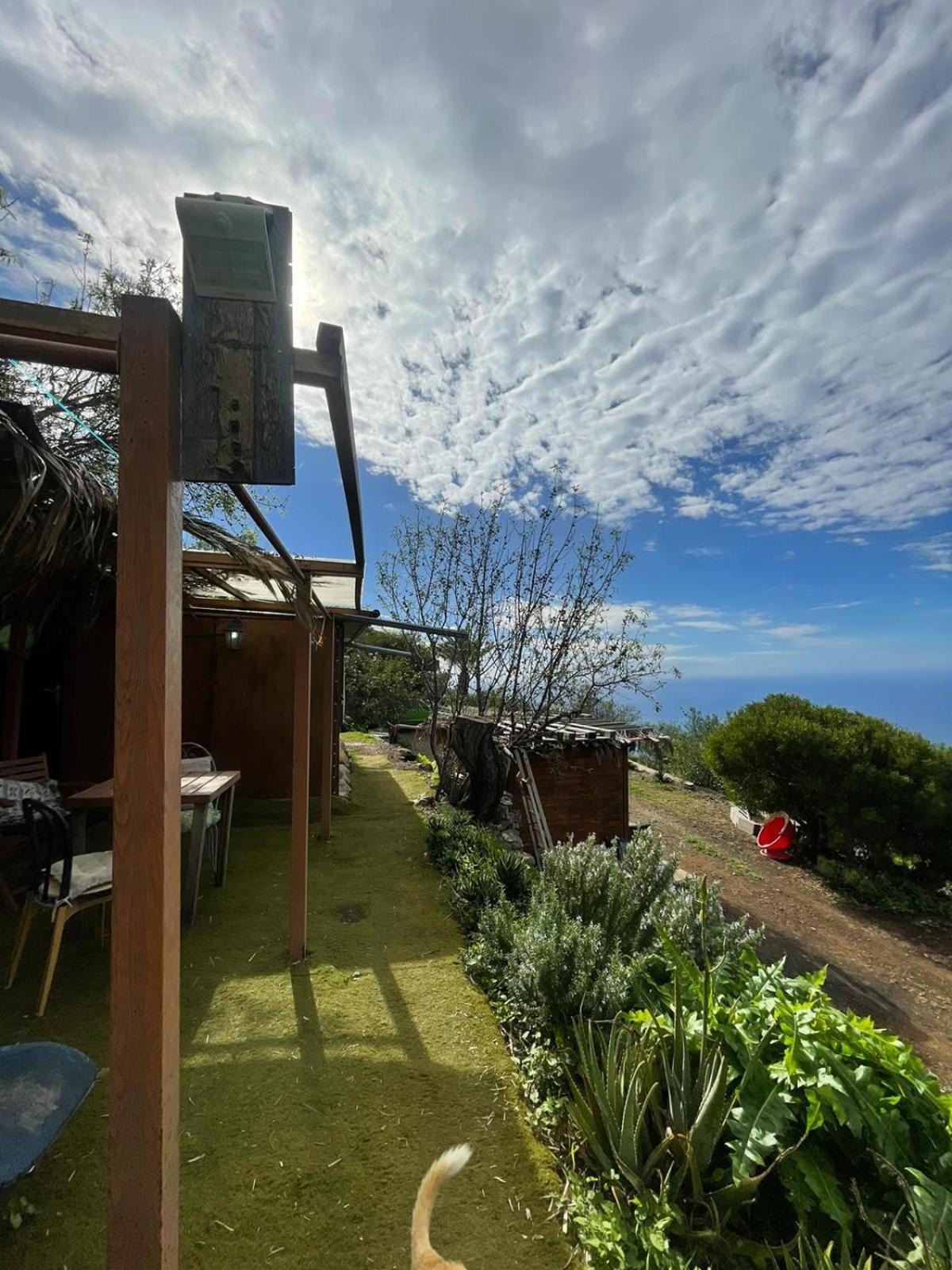 Abracaribes Bed & Breakfast Arecida Eksteriør bilde