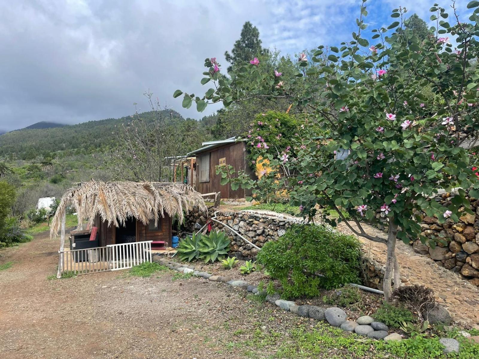 Abracaribes Bed & Breakfast Arecida Eksteriør bilde