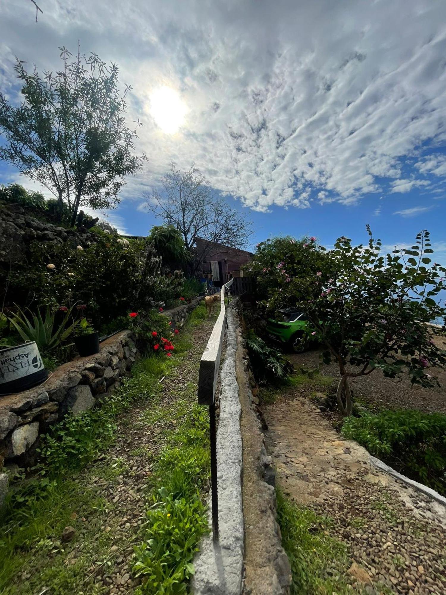 Abracaribes Bed & Breakfast Arecida Eksteriør bilde