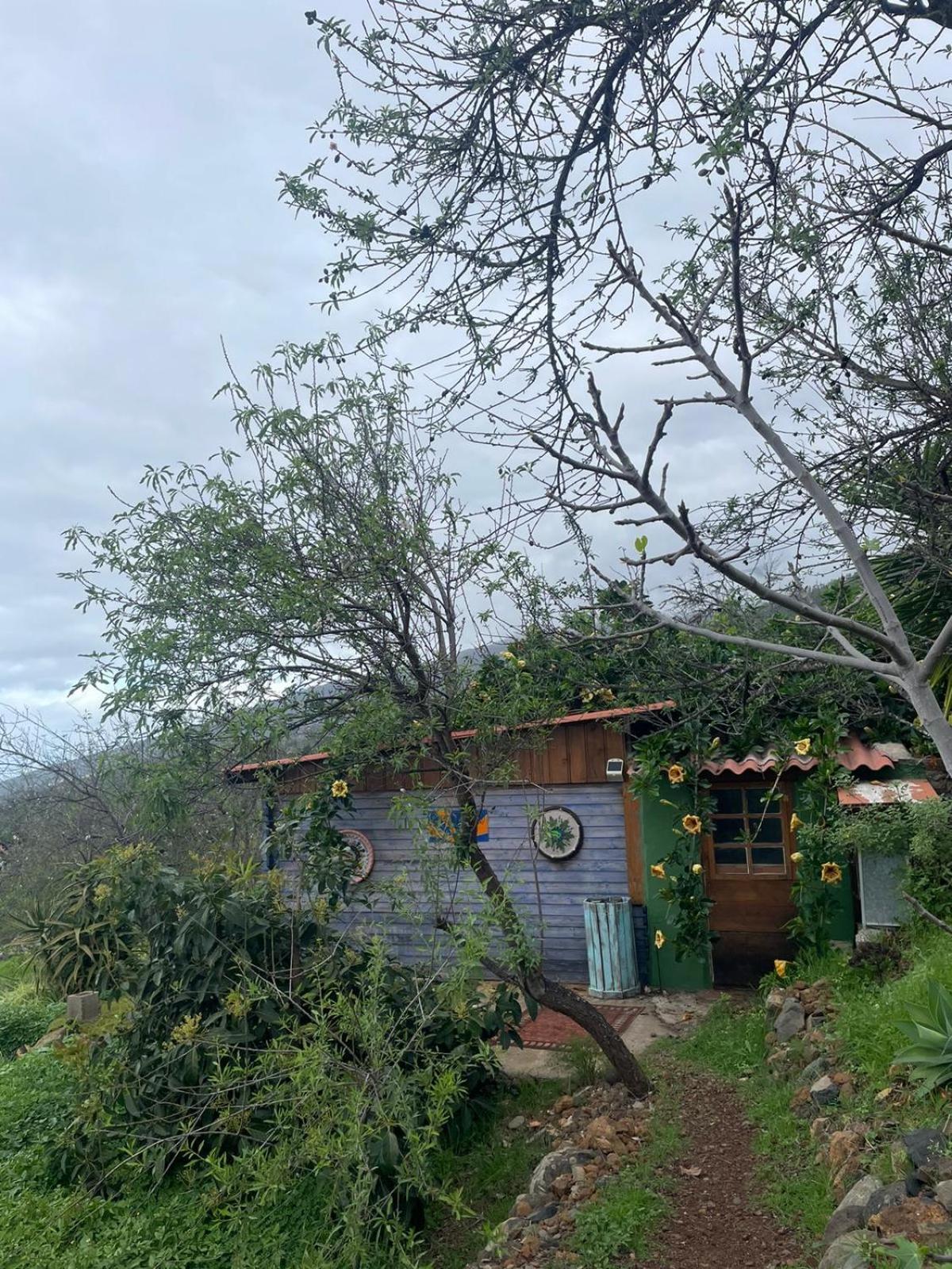Abracaribes Bed & Breakfast Arecida Eksteriør bilde