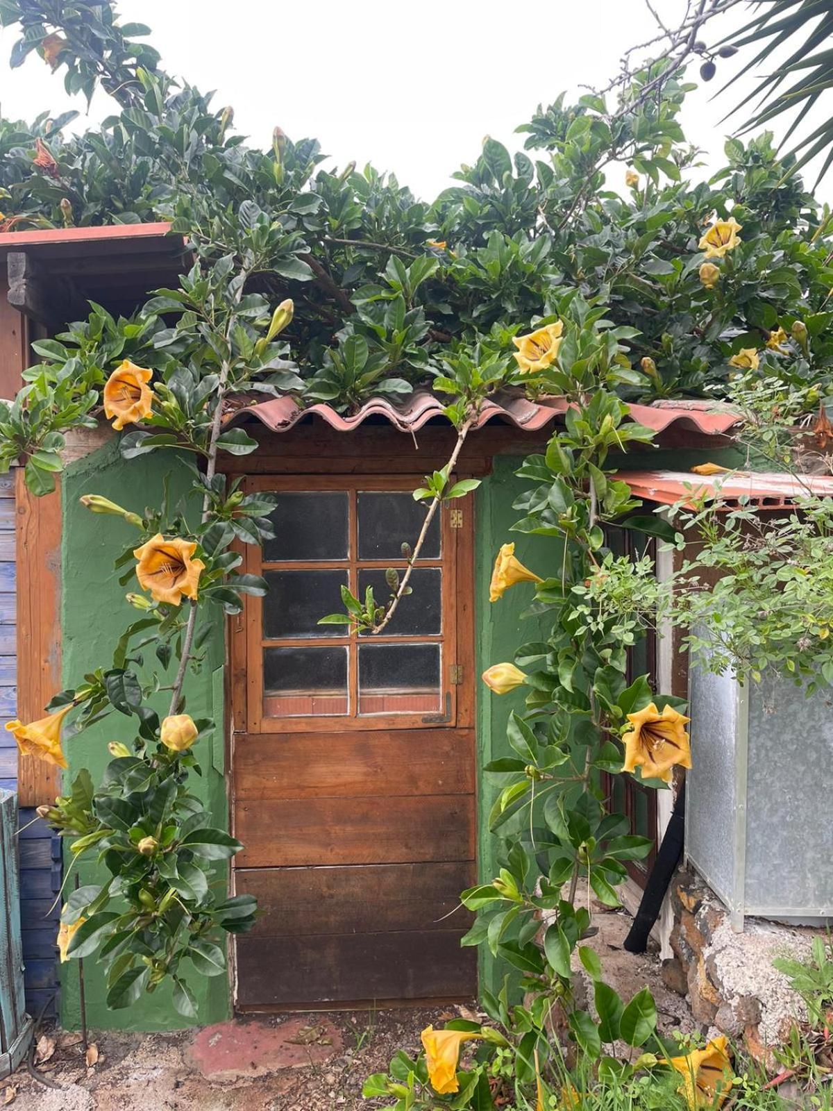 Abracaribes Bed & Breakfast Arecida Eksteriør bilde