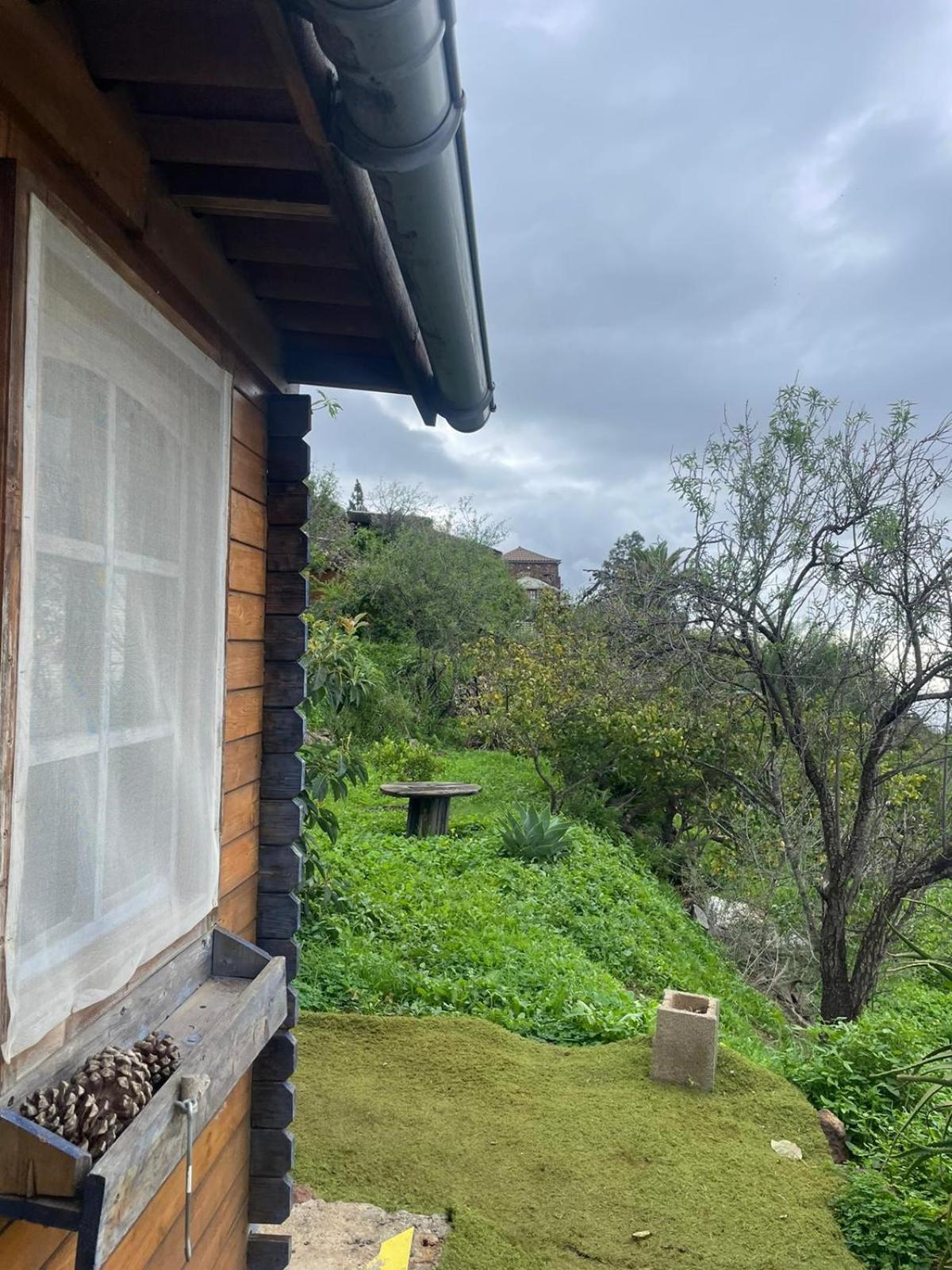 Abracaribes Bed & Breakfast Arecida Eksteriør bilde